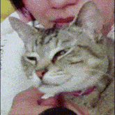 a close up of a person holding a cat with their eyes closed