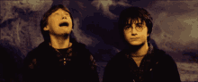 Harry Potter Daniel Radcliffe GIF - Harry Potter Daniel Radcliffe Eyeglasses GIFs