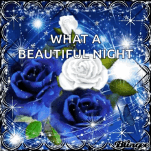what a beautiful night flowers sparkles beautiful