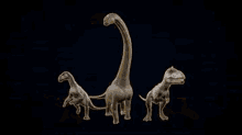 jurassic world jurassic world evolution cretaceous dinosaur pack dinosaur bundle