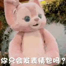a pink teddy bear with chinese writing on it is standing in front of a plant .