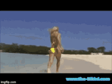 Thebikini Beach GIF - Thebikini Bikini Beach GIFs