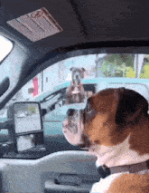 Dog Staring At Other Dog Car Window GIF