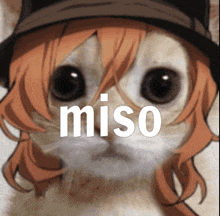 a close up of a cat wearing a hat with the word miso written on it .