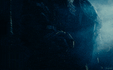 a dark background with the word kepler on the bottom