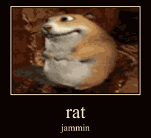 Rat Jammin Rat GIF - Rat Jammin Rat Jammin GIFs
