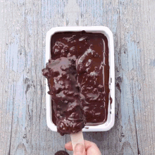 a person holding a chocolate covered ice cream bar
