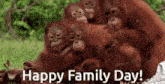 Family Day Orangutan GIF - Family Day Orangutan Happy Family Day GIFs