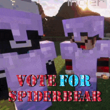two purple minecraft characters standing next to each other and the words vote for spiderbear