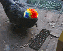 Pigeon Clown GIF - Pigeon Clown Keyboard GIFs