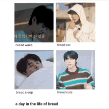 Sunghoon Bread Sunghoon Cheekies GIF - Sunghoon Bread Sunghoon Cheekies Sunghoon Cheeks GIFs