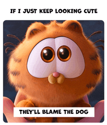 a picture of garfield with a caption that says if i just keep looking cute they 'll blame the dog