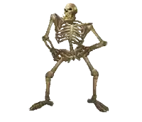 a skeleton with a skull on its head is standing with his arms crossed
