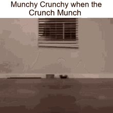 crunch cat