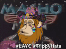 Layc Trippy Hats GIF - Layc Trippy Hats Trippy GIFs