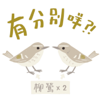 two birds are standing next to each other with chinese writing