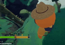 a cartoon character wearing a straw hat in a video game with a loading bar that says " yea bot trusting that "