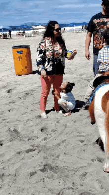 Horses Beach GIF - Horses Beach Horse GIFs