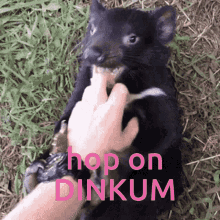 Hop On Dinkum Dinkum GIF - Hop On Dinkum Dinkum Tasmanian Devil GIFs