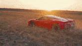 Whistlindiesel Ferrari GIF - Whistlindiesel Ferrari Field GIFs