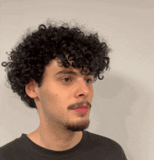 a young man with curly hair and a beard
