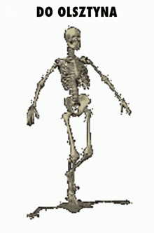a drawing of a skeleton with the words do olsztyna written above it