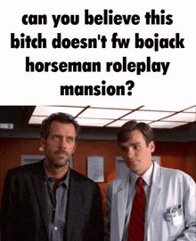 Bojack Horseman Roleplay Mansion Dr House GIF