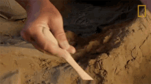Mummy Lost Treasures Of Egypt GIF - Mummy Lost Treasures Of Egypt Buried GIFs