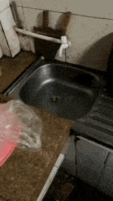 Mouse Kitchen Sink GIF