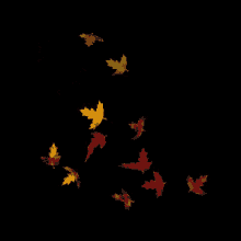 Leaves Blowing In The Wind GIF - Autumn Fall Seasons GIFs