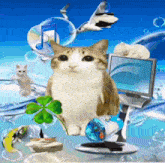 a cat is surrounded by bubbles and a computer screen
