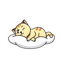 a cartoon cat is sleeping on a pillow with the letters nz above it