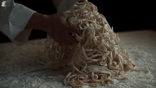 Pasta Noodles GIF