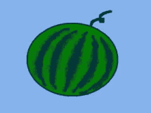 watermelon spinninig