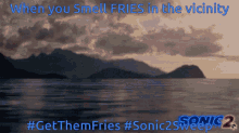 fries sonic2sweep