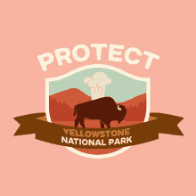 Protect More Parks Camping GIF - Protect More Parks Camping Protect Yellowstone National Park GIFs