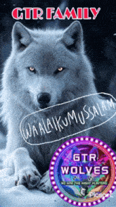 a picture of a wolf with the words gtr wolves