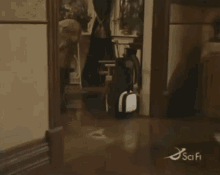 Passions Timmy GIF - Passions Timmy Piano GIFs