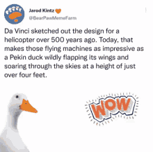 Duck Helicopter GIF - Duck Helicopter Da GIFs