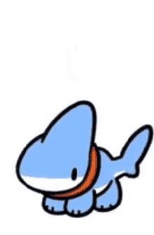 Confused Shark GIF