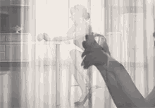 a black and white photo of a person taking a picture of a woman in a chair .