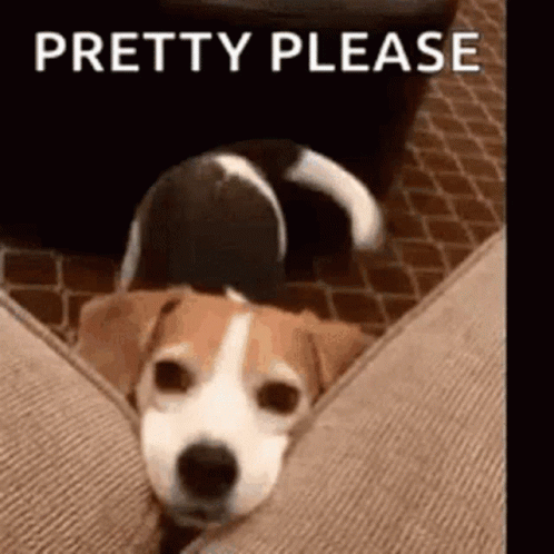 cute dog begging cartoon
