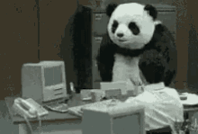 Panda Enojado En La Oficina GIF