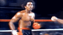 Boxing Tyson GIF - Boxing Tyson Boxeo GIFs