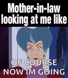 In Laws Mother In Law GIF