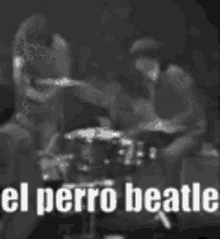 El Perro Beatle Ringo Drum GIF - El Perro Beatle Ringo Drum Hi Marissa GIFs