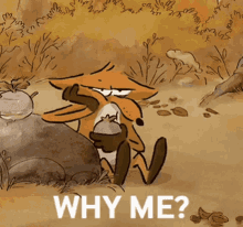 Fuck Me Life Fml GIF - Fuck Me Life Fml The Big Bad Fox And Other Tales GIFs