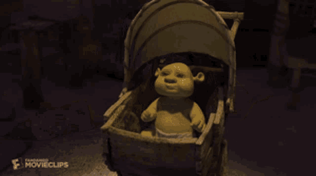 Shrek Baby Is Coming GIF