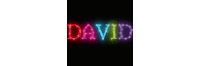 David Sticker - David Stickers