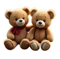 two teddy bears are sitting next to each other and the letters a.c. are on their heads